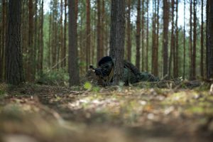 firearm-grass-forest.jpeg