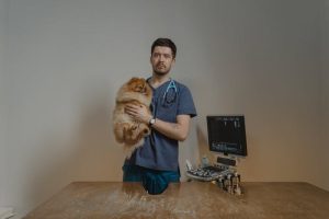 animal-clinic-personnel-2.jpeg