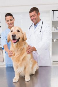 iStock-472899430.jpg
