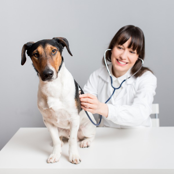 iStock-510766671.jpg