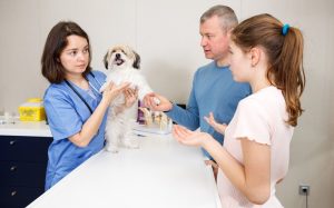 iStock-1134195525.jpg
