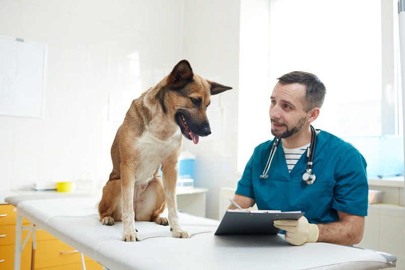 iStock-968955780.jpg