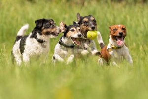 istockphoto-962993790-612x612.jpg