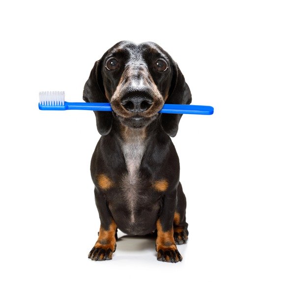 iStock-1153008119.jpg