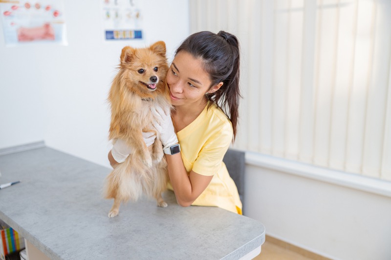 iStock-1353286228.jpg