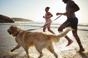 iStock-1456209336.jpg