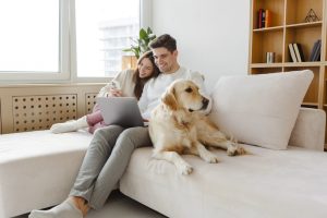 iStock-1940780649.jpg
