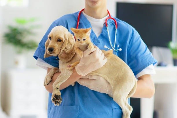 istockphoto-1493017503-612x612-1.jpg