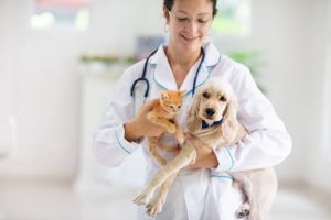 istockphoto-1980949492-612x612.jpg