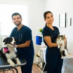 Where Can You Find Certified Cold Laser Therapists for Pets?