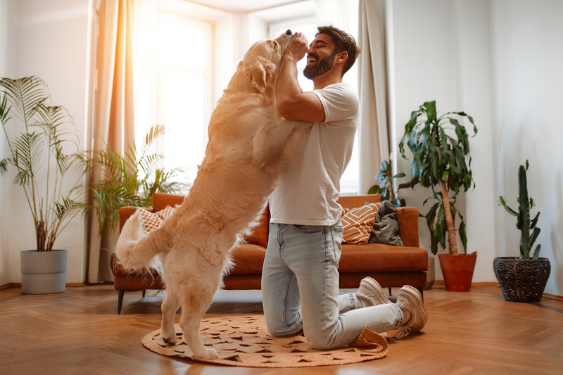 iStock-1494578695.jpg