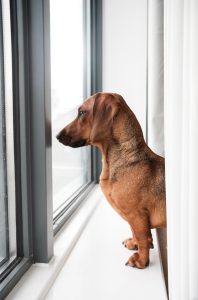 iStock-1222187789.jpg