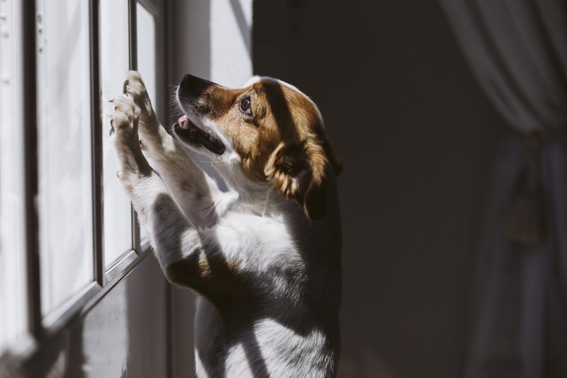 iStock-1225968746.jpg
