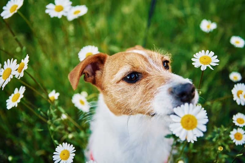 iStock-1399523855.jpg