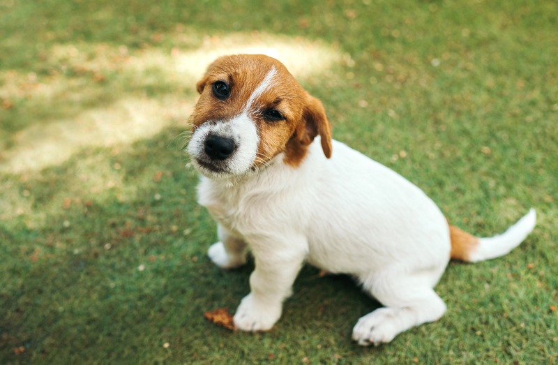 iStock-1681774793.jpg