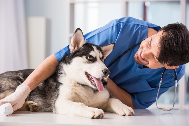 iStock-535466533.jpg