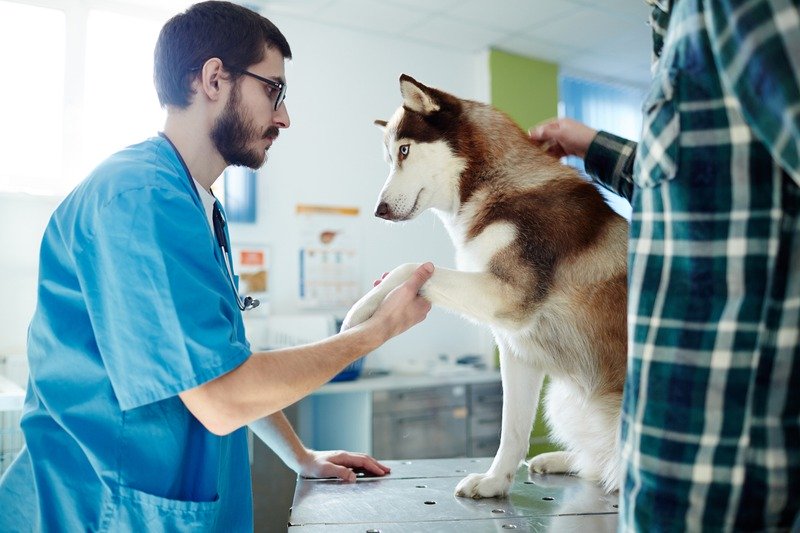 iStock-688393362.jpg