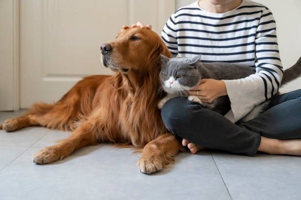 istockphoto-1289859249-612x612.jpg