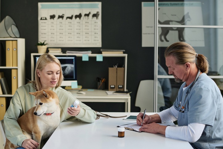 Veterinary-Surgery-What-Pet-Owners-Need-to-Know.jpg