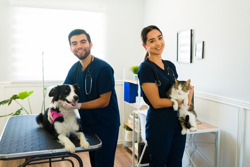 What-Essential-Veterinary-Services-Should-Every-Cat-and-Dog-Receive.jpg
