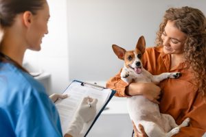 What-Veterinary-Services-Are-Included-in-a-Pet-Wellness-Plan.jpg